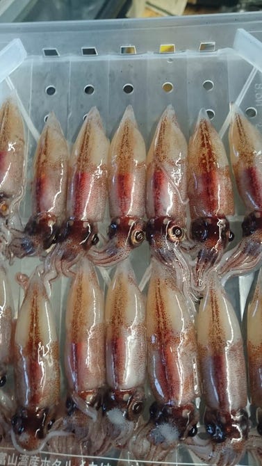 居酒屋 まる 彦根 多賀 愛荘 居酒屋 ぐるなび