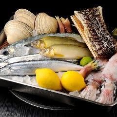 扇矢 素旬 〜しろとき〜