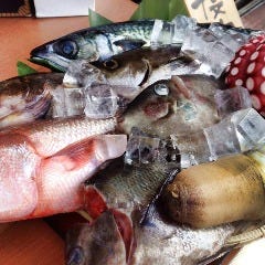 おさかなや 和樽