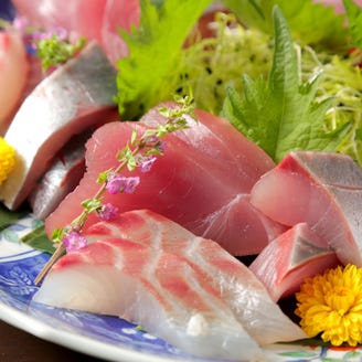 熟成刺身と旨い酒 京都 ひとしお メニュー 朝獲れ鮮魚 熟成 ぐるなび 熟成刺身と旨い酒 京都 ひとしお メニュー 朝獲れ鮮魚 熟成 ぐるなび