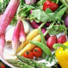 レストラン フリコトー