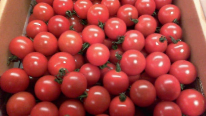 農家の台所 新宿三丁目店 新宿 野菜料理 ぐるなび