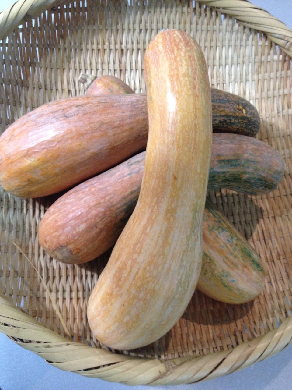 農家の台所 新宿三丁目店 自慢の食材 南部一郎南瓜 ぐるなび