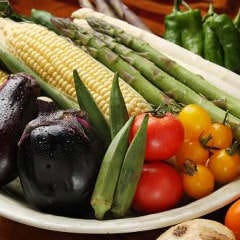 北海道の契約農家直送『新鮮野菜』