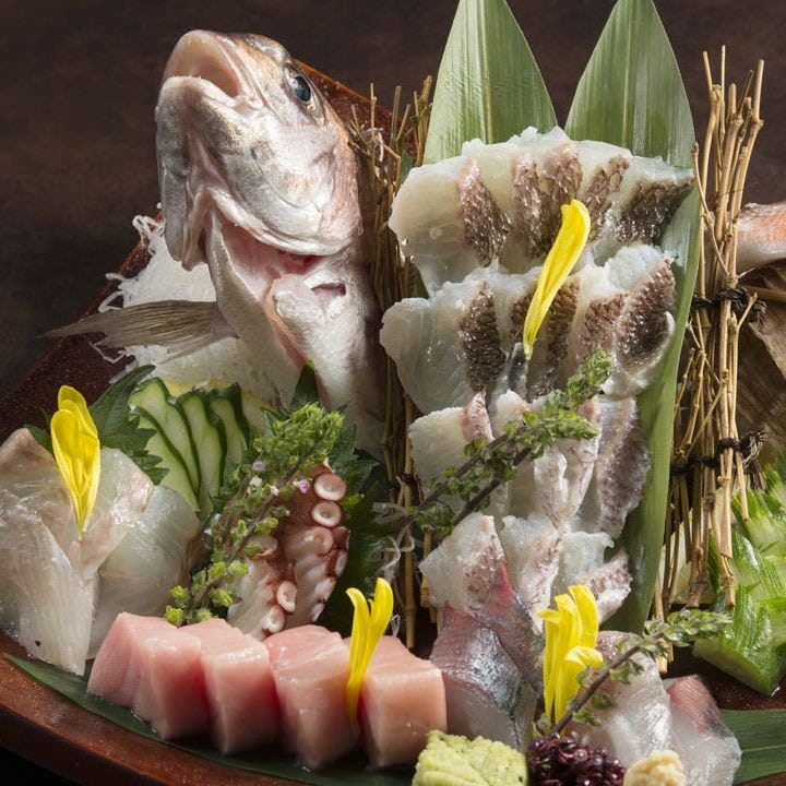 旬菜 五臓六腑 坂戸店 坂戸 埼玉 居酒屋 料亭 Goo地図 旬菜 五臓六腑 坂戸店 坂戸 埼玉 居酒屋 料亭 Goo地図