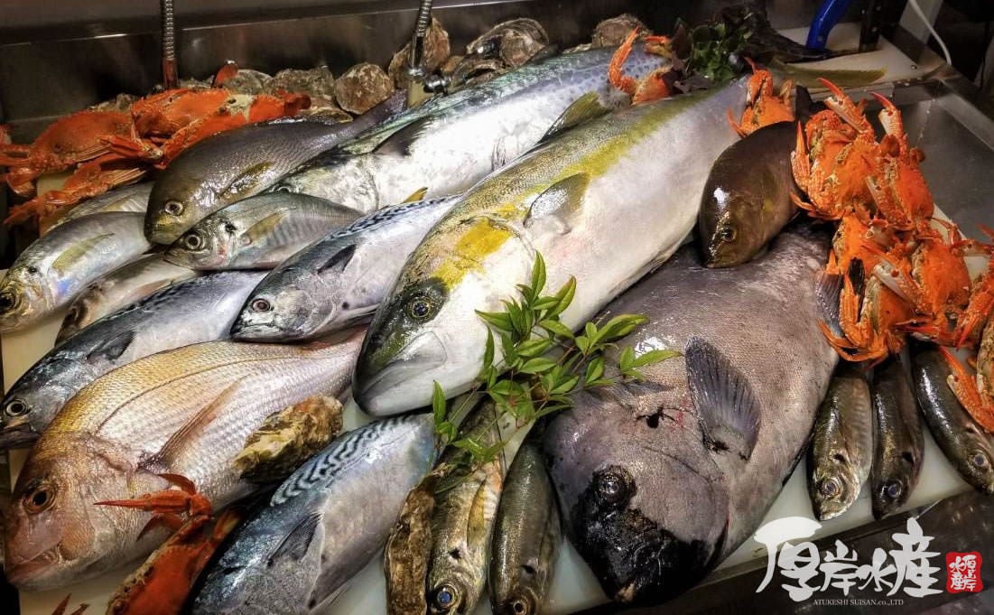 かき小屋 厚岸水産 豊田 元城店 メニュー 鮮魚 牡蠣 ぐるなび