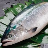 美味しい鮭あります！北海道産【秋鮭】