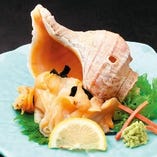 コリコリ食感が人気！北海道産【活ツブ貝】入荷中！