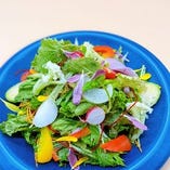 20種類のお野菜を使用したガーデンサラダ