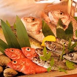 名古屋市中央卸売市場で目利きをして仕入れる新鮮魚介をお愉しみください
