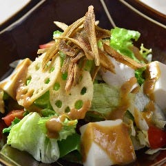 京とうふ藤野 牛蒡,蓮根,金胡麻の豆富サラダ