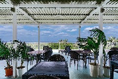 Palm Tree Lanai 