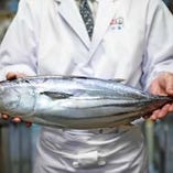 名物の鰹は一本釣りの鰹のみを使用しています