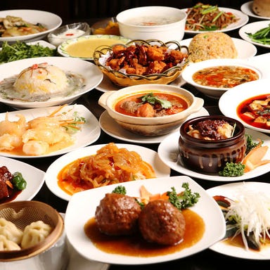 個室中華＆食べ飲み放題 菜香菜（さいかさい） 東陽町店 コースの画像