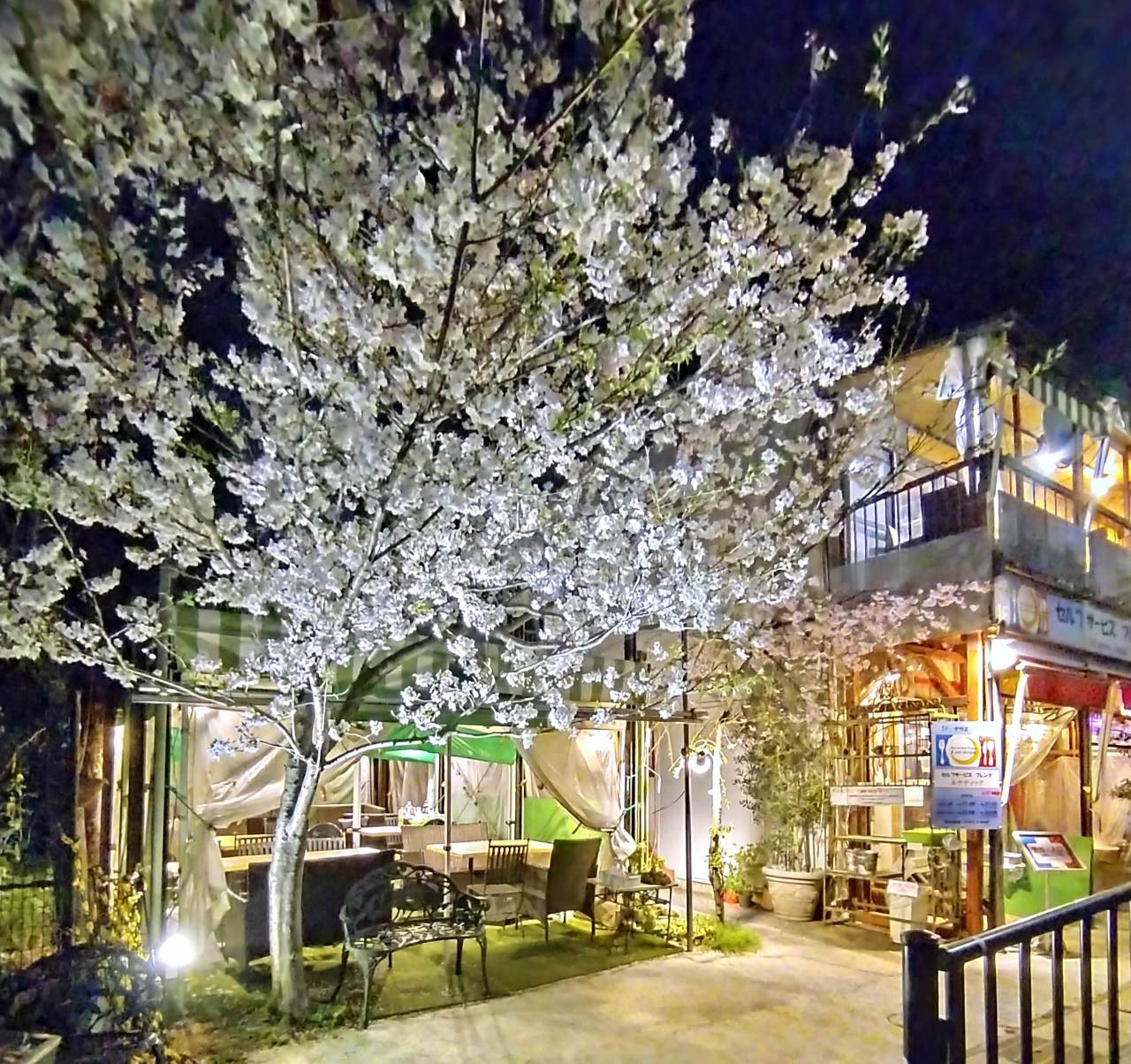 セルフサービスフレンチ ルナティック 二子玉川（二子玉川・用賀