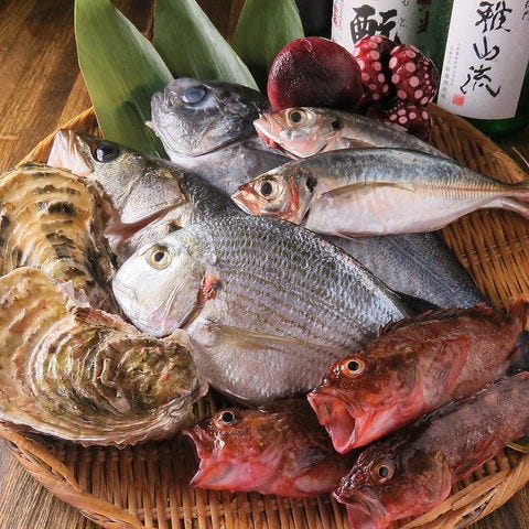 朝獲鮮魚と日本酒 魚菜市場 橋本店