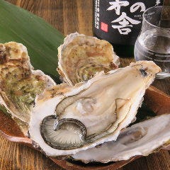 広島産 大粒かきは絶品です!