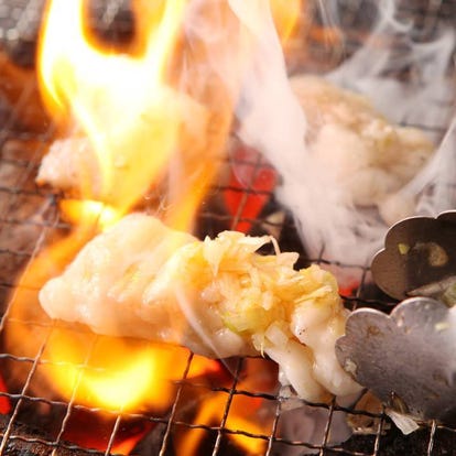 美味しいお店が見つかる 平塚の食事 ディナーでおすすめしたい人気レストラン ぐるなび