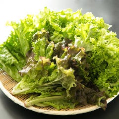 ランチサラダでも富山県産水耕栽培グリーンリーフを堪能頂けます