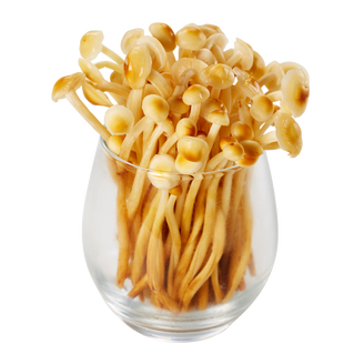しゃぶしゃぶ温野菜 上飯野店 メニュー セット ぐるなび