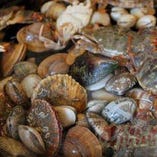 毎日市場で新鮮の魚貝類、野菜を買い付け【東京都】