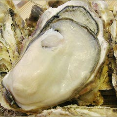 広田湾の牡蠣