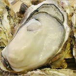 広田湾の牡蠣は口いっぱいに旨味が広がります♪