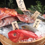 【鮮魚】全国から直送される鮮魚。新鮮だからこその味を堪能。