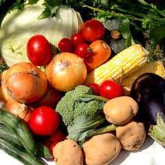 北海道直産の野菜は有機野菜のみの使用です！