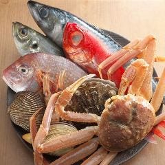 毎日仕入れる新鮮な魚たち!!!