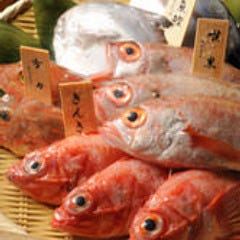 のど黒屋 新橋店