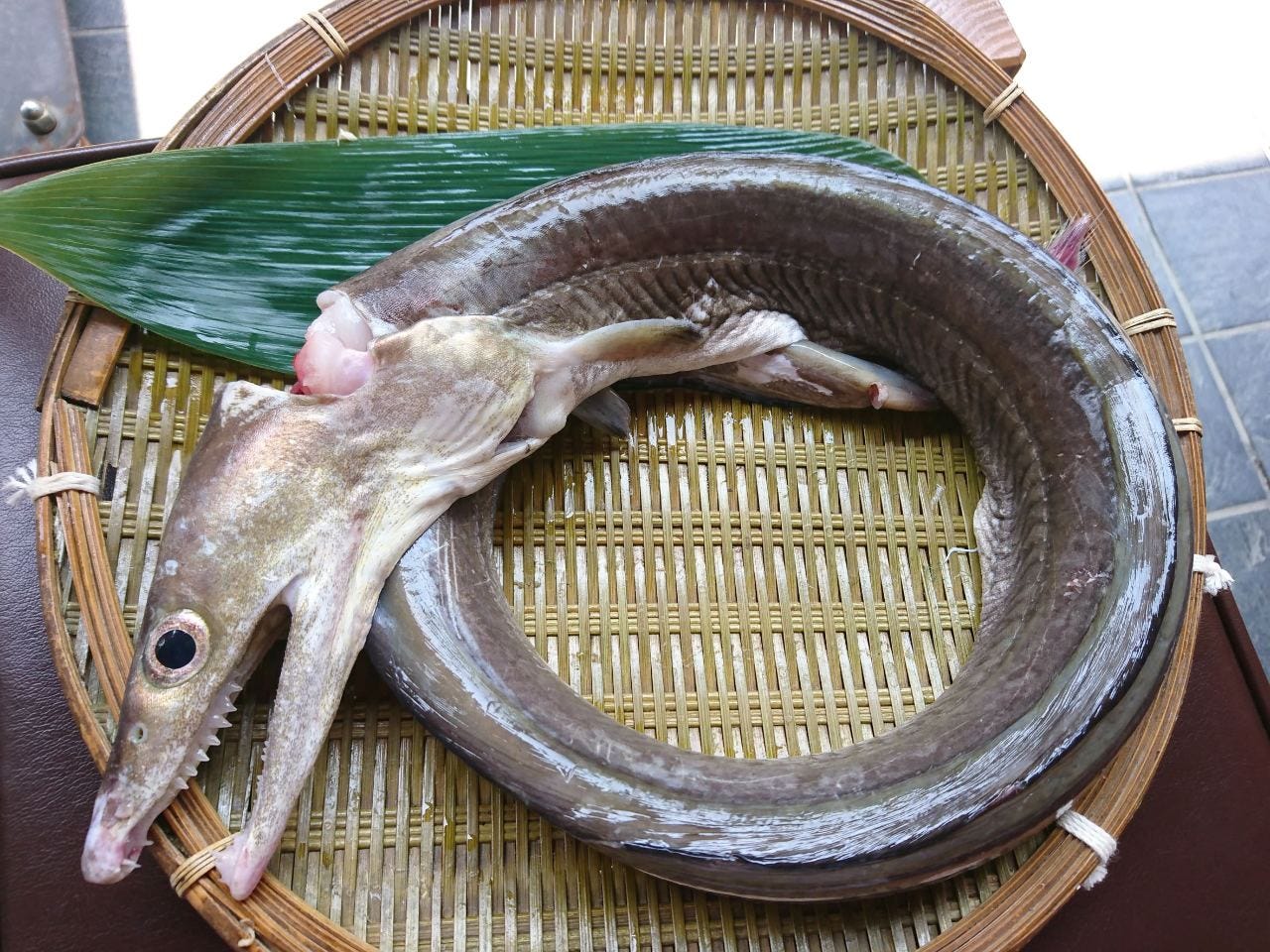 鱧 ハモ 食べづくしコース 全9品 東京浅草で鱧三昧 の詳細 峰屋 浅草 日本料理 ぐるなび
