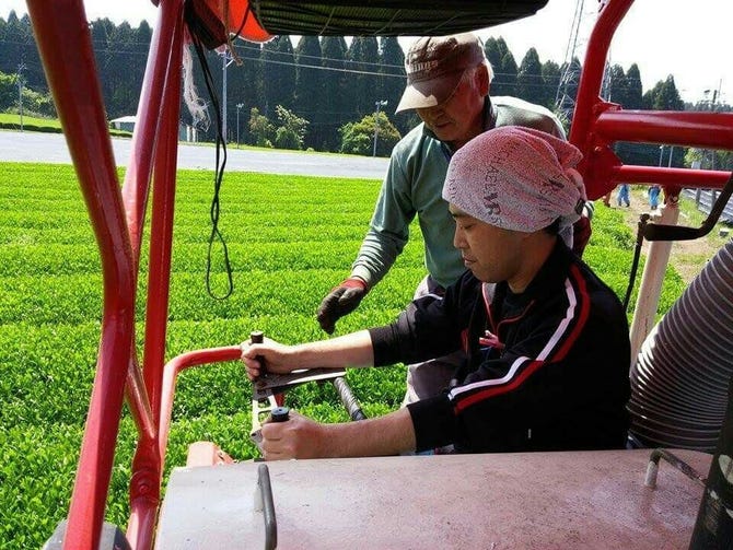 和心創楽 櫻壽 鹿児島市 居酒屋 ぐるなび 和心創楽 櫻壽 鹿児島市 居酒屋 ぐるなび