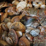 毎日専門のチーフ市場で新鮮の魚貝類、野菜を買い付け【東京都】