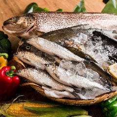 信州名物馬刺しと炭火焼き鳥 信州炉端 串の蔵 新宿東口店