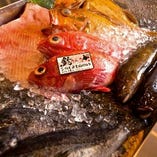 運が良ければ、北海道の新鮮な魚介や炭火焼やお刺身の日替わりも