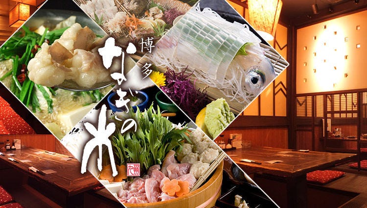博多もつ鍋・水炊き なぎの木 中洲川端店