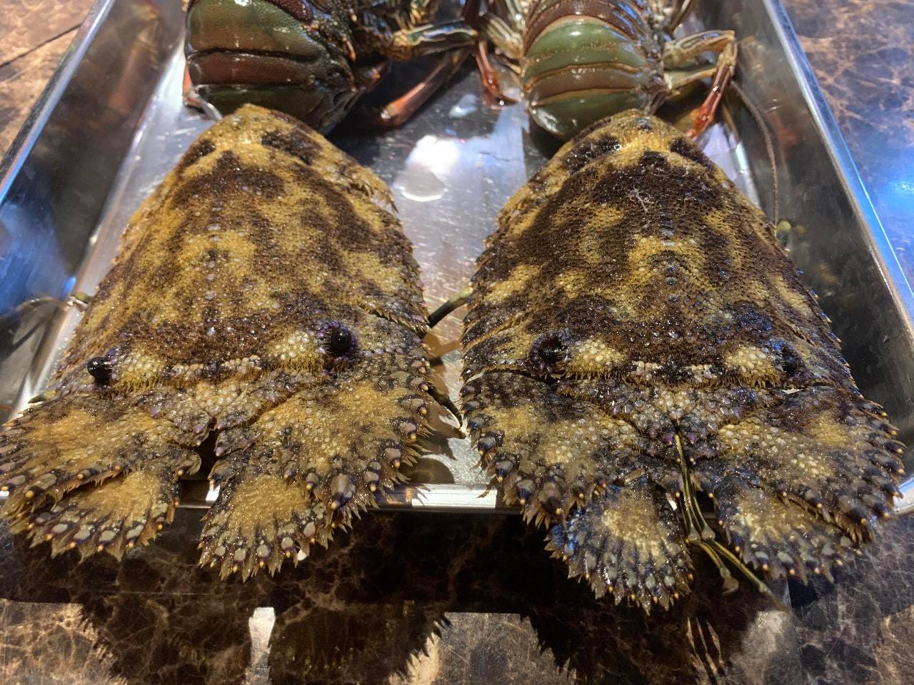 琉球ダイニング ふぁいみーる 写真 1ページ目 1件 40件 ぐるなび