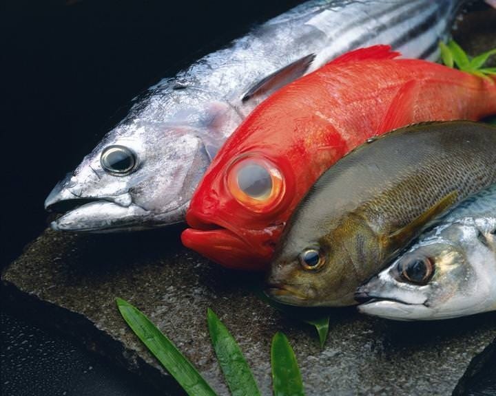 季節の魚を満喫　旬魚のコース