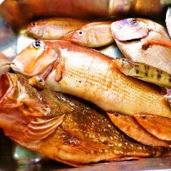 熱海 和食のハーモニー 善作 熱海 海鮮 海鮮料理 ぐるなび 熱海 和食のハーモニー 善作 熱海 海鮮 海鮮料理 ぐるなび
