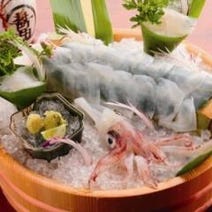 ［泳ぎイカと高知のカツオ］泳ぎイカとカツオの藁焼き 寅八商店 三宮店の画像