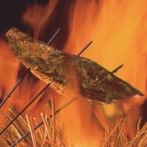 ［泳ぎイカと高知のカツオ］泳ぎイカとカツオの藁焼き 寅八商店 三宮店の画像