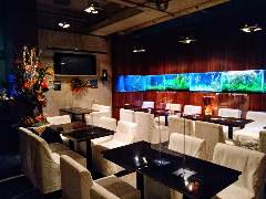 熱帯魚のいるbar SALVATION（サルバシオン）人形町
