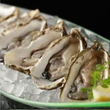 ◆OYSTER PLATE◆