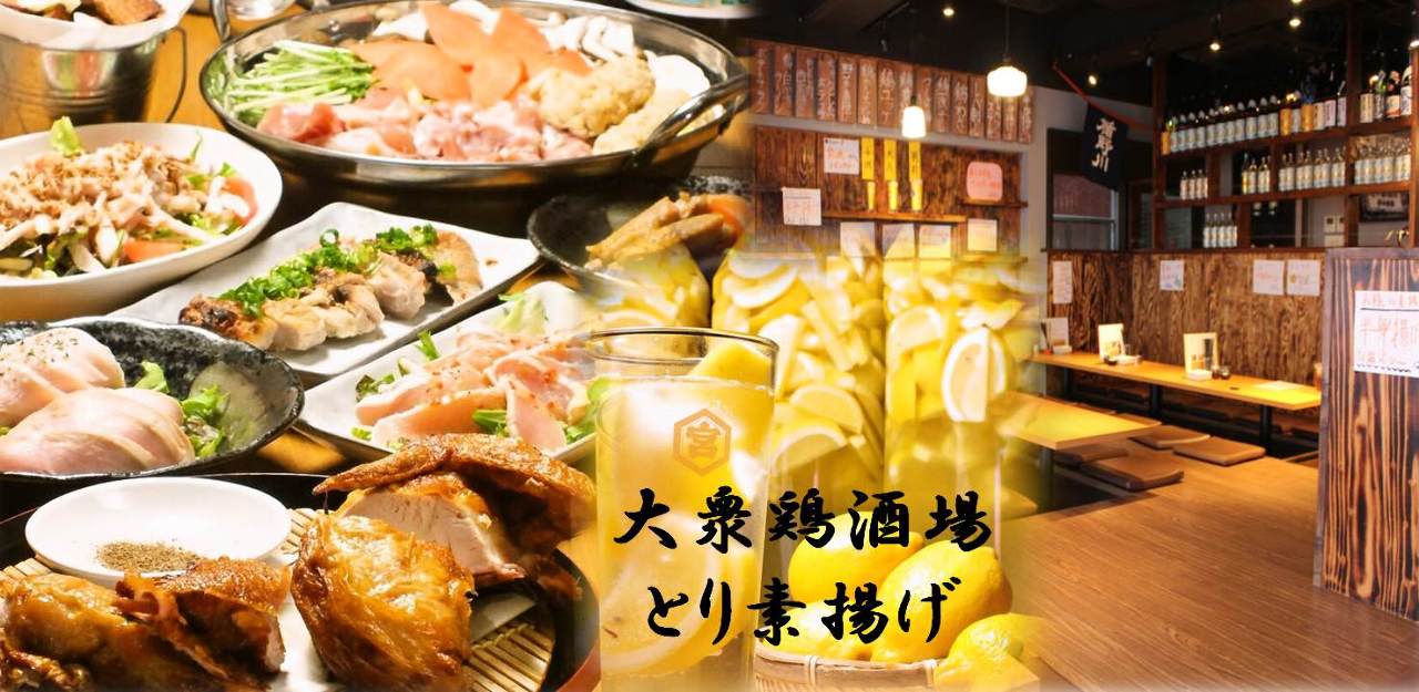 大衆鶏酒場 とり素揚げ 新小岩南口店