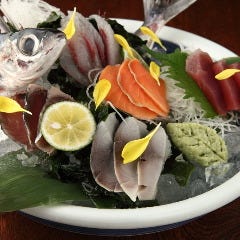 全国各地から新鮮な魚が届きました 今夜も『ハ印』に決まり！