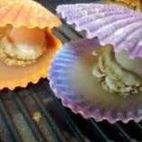 ヒオウキ貝の蒸し焼き
