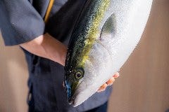ぶり料理専門店 魚師匠‐BURISHO‐ 