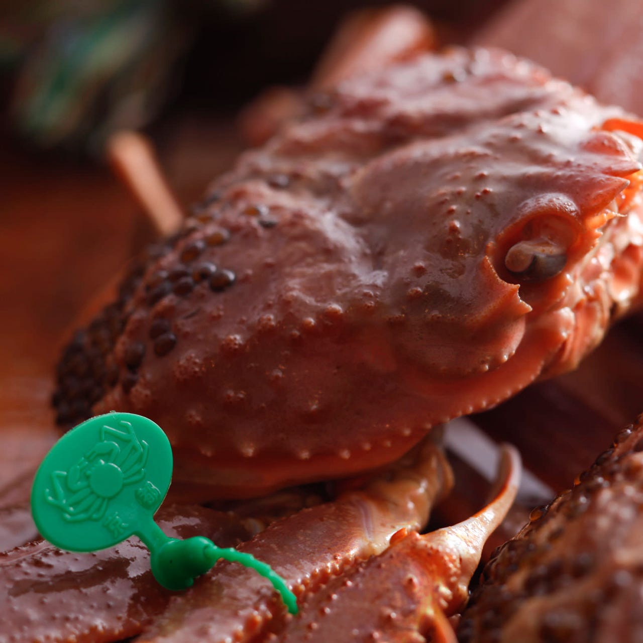 干物间人蟹松叶蟹 丹后ひもの屋