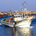 丹後では9月から5月にかけて底曳き網漁船が漁に出ます。その間11月から3月は松葉ガニ（間人ガニ）も解禁になります。間人の底曳き船は小さくて5隻しかなくて、多少の時化で出港できませんが、日帰り漁で鮮度は抜群です。